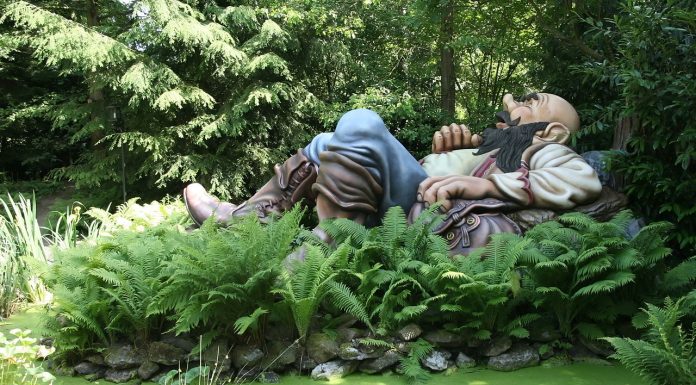 Interpretare vis in care apare un capcaun