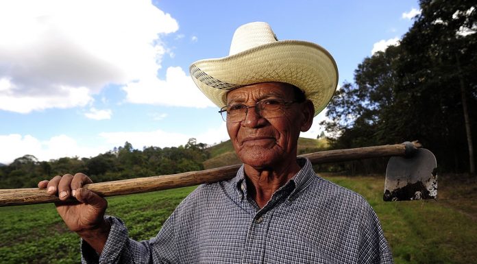 Interpretare vis in care apare un fermier