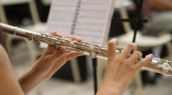 Interpretare vis in care apare un flaut