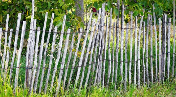 Interpretare vis în care apare un gard Interpretare vis in care apare un gard