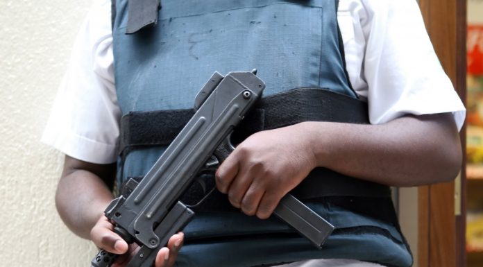 Interpretare vis în care apare un gardian Interpretare vis in care apare un gardian