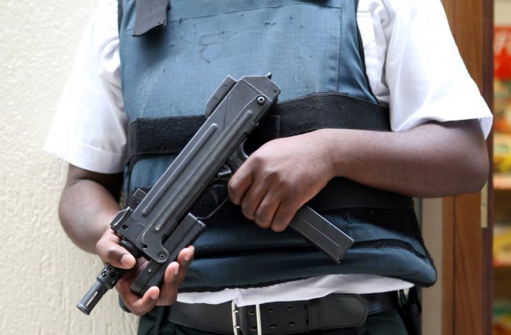 Interpretare vis in care apare un gardian