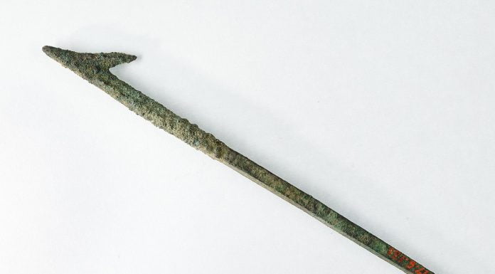 Interpretare vis in care apare un harpon