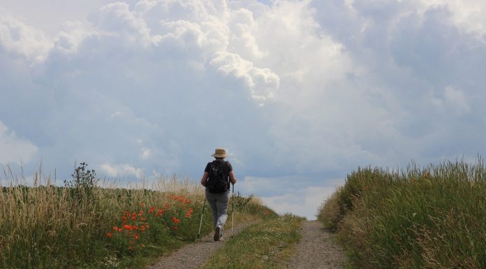 Interpretare vis in care apare un hoinar