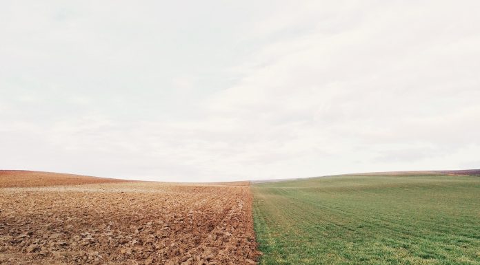 Interpretare vis in care apare un hotar