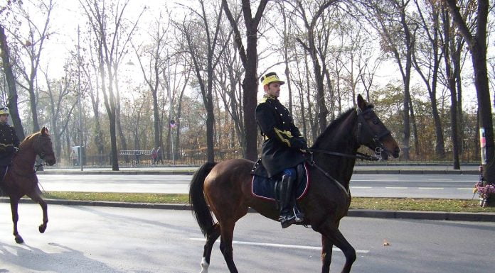 Interpretare vis în care apare un jandarm Interpretare vis in care apare un jandarm