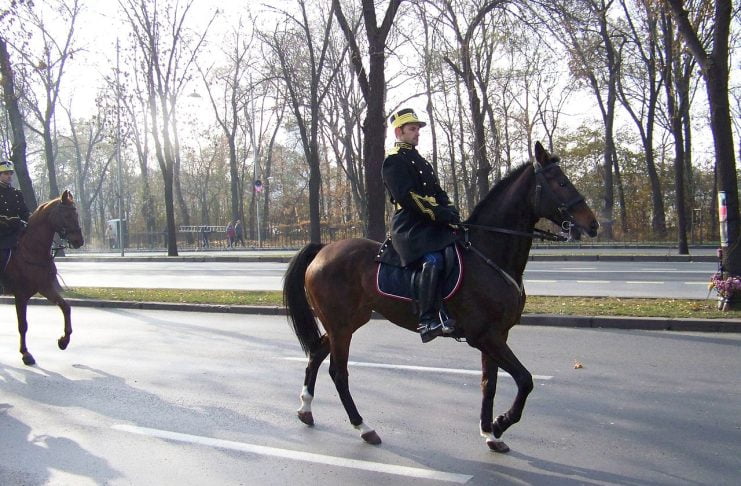 Interpretare vis in care apare un jandarm