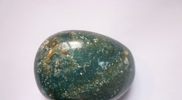 Interpretare vis în care apare un jasp Interpretare vis in care apare un jasp