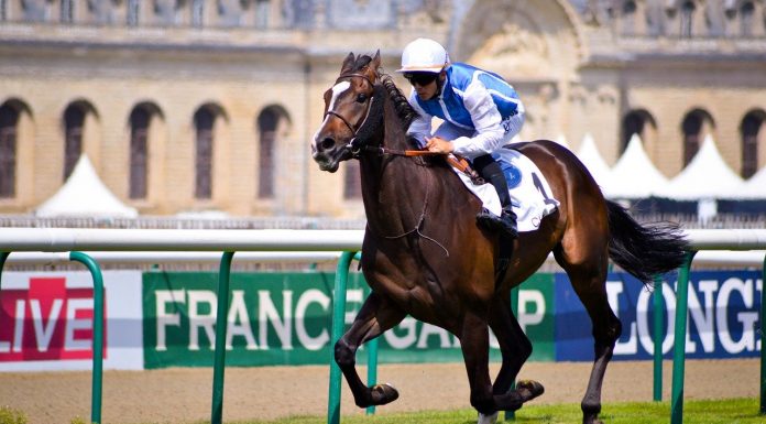 Interpretare vis in care apare un jocheu