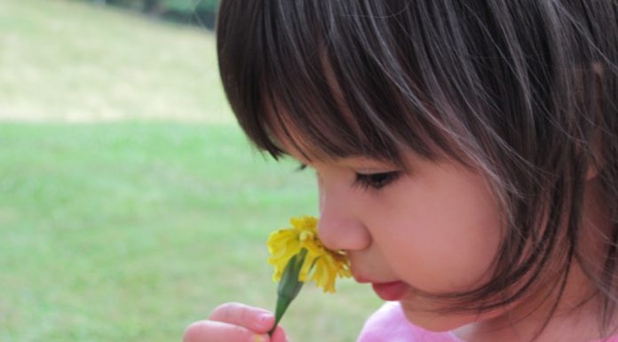 Interpretare vis in care apare un miros