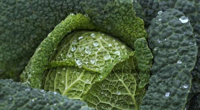 Interpretare vis in care apare un nap