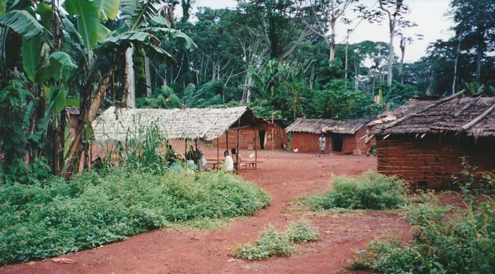 Interpretare vis in care apare un sat