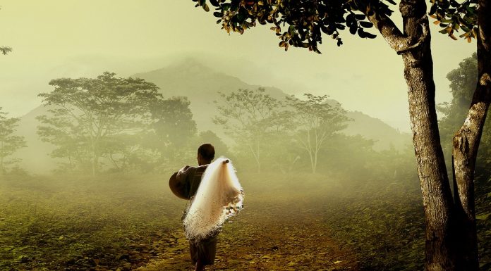 Interpretare vis in care apare un satean