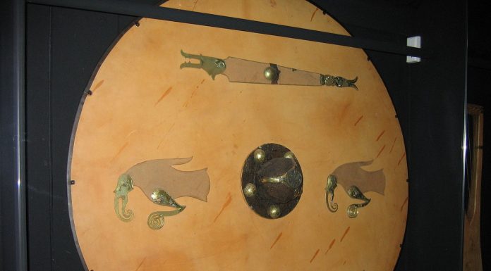 Interpretare vis in care apare un scut