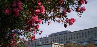 Interpretare vis in care apare un spital