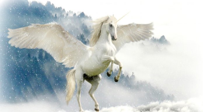 Interpretare vis în care apare un unicorn Interpretare vis in care apare un unicorn
