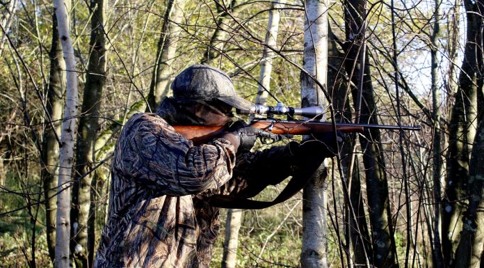 Interpretare vis in care apare un vanator