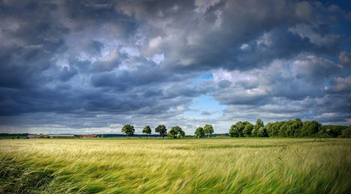 Interpretare vis în care apare vânt Interpretare vis in care apare vant