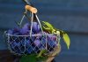 Interpretare vis în care apar prune Interpretare vis in care apar prune