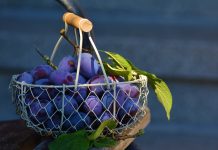Interpretare vis în care apar prune Interpretare vis in care apar prune