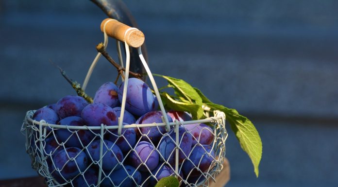 Interpretare vis in care apar prune