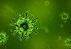 Interpretare vis in care apare Bacterii