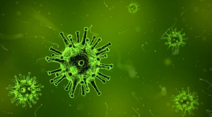 Interpretare vis în care apare bacterii Interpretare vis in care apare Bacterii