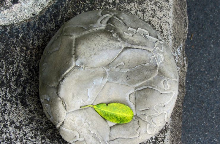 Interpretare vis in care apare ceva dezumflat