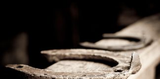 Interpretare vis în care cineva îți dăruiește o potcoavă Interpretare vis in care cineva iti daruieste o potcoava