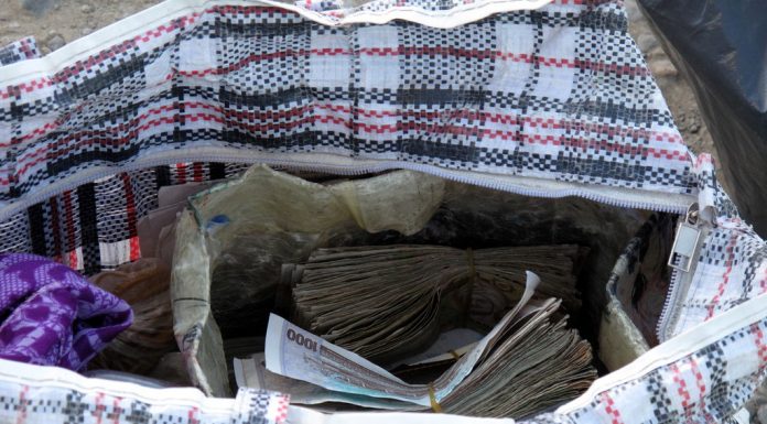 Interpretare vis in care duci plase pline cu bani la banca