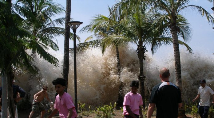 Interpretare vis în care fugi de un tsunami peste dealuri Interpretare vis in care fugi de un tsunami peste dealuri