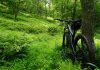 Interpretare vis în care mergi cu bicicleta și te rătăcești în pădure Interpretare vis in care mergi cu bicicleta si te ratacesti in padu