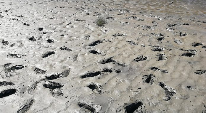 Interpretare vis în care te afunzi în noroi și nu poți scăpa Interpretare vis in care te afunzi in noroi si nu poti scapa