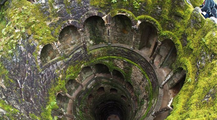 Interpretare vis in care cobori intr-o fantana si esti atacat de un sarpe