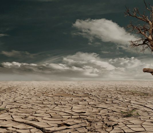 Interpretare vis in care esti in desert si cauti apa cu disperare