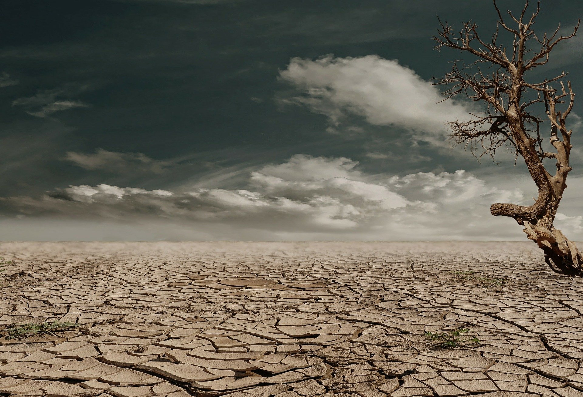 Interpretare vis in care esti in desert si cauti apa cu disperare