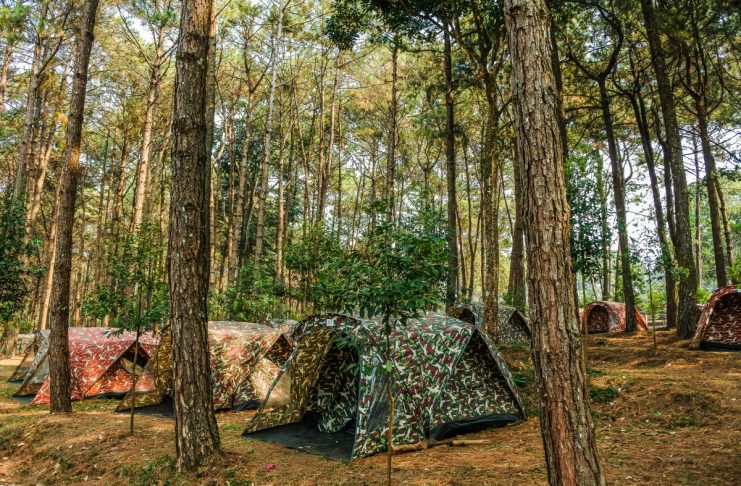 Interpretare vis in care esti in natura cu cortul si ploua