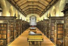 Interpretare vis in care esti intr-o biblioteca plina cu panze de paianjen