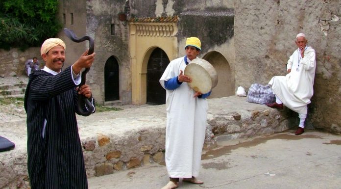 Interpretare vis in care esti un imblanzitor de serpi