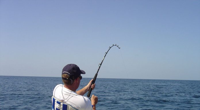 Interpretare vis in care pescuiesti si nu poti scoate pestele din apa