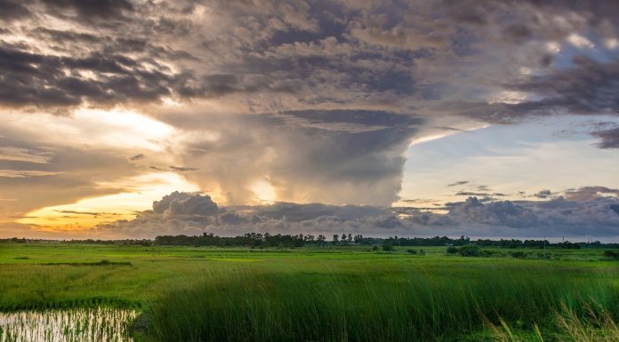 Interpretare vis in care stai pe o insula pustie si vezi un uragan