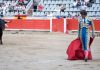 Interpretare vis în care te lupți cu un taur într-o arenă Interpretare vis in care te lupti cu un taur intr-o arena
