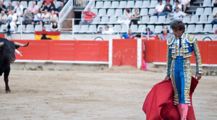 Interpretare vis in care te lupti cu un taur intr-o arena