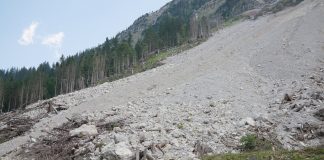 Interpretare vis in care vezi alunecari de teren