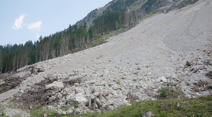 Interpretare vis in care vezi alunecari de teren