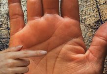 Ghicitul în palmă – Linia capului Ghicitul in palma (6)