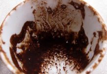 Interpretare semne si simboluri in forma de animale ce apar la ghicitul in cafea