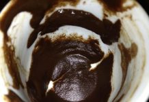 Interpretare semne si simboluri in forma de pasare ce apar la ghicitul in cafea