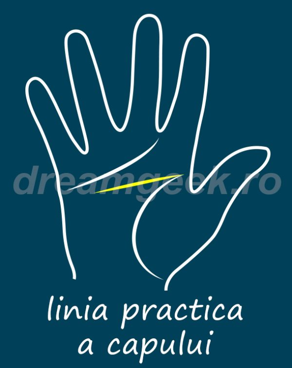 Ghicitul in palma - Linia practica a capului