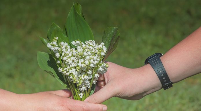 Interpretare vis in care daruiesti flori cuiva